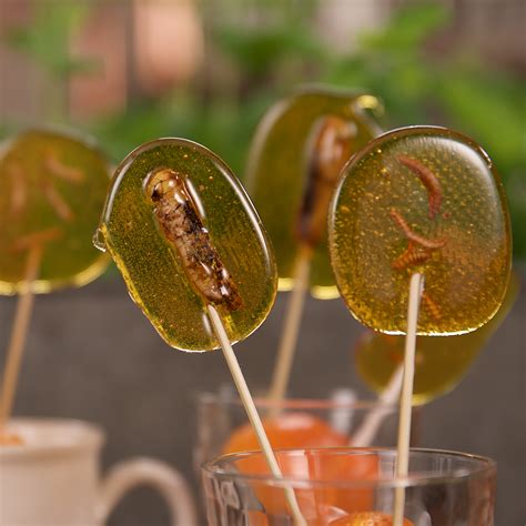 bug candy lollipops|More.